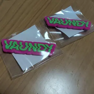 VAUNDY 캡슐 토이 마그넷 2세트