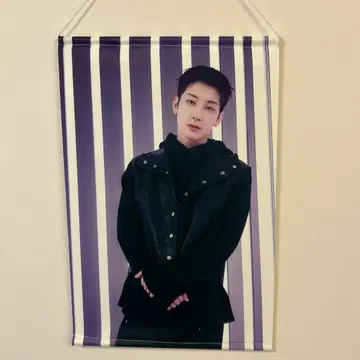 SEVENTEEN 원우 태피스트리 SEVENTEEN's HOME
