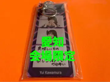 카와무라 유이 AKB48 TOUR PARTY 메시지 키링 아이치 한정판