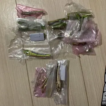 생물대도감 사마귀 (그린 컬러형) 풀무치 (그린 컬러형) 및 갈색형