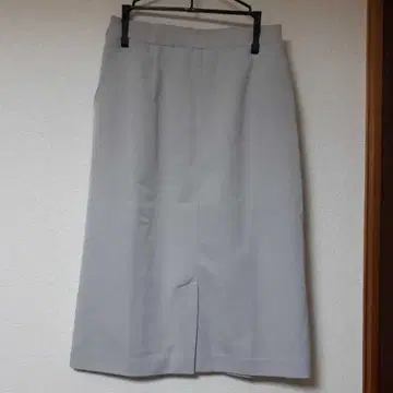 리디 스커트
