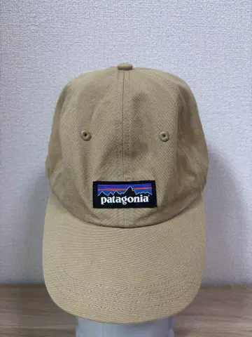 patagonia P6 베이지 캡