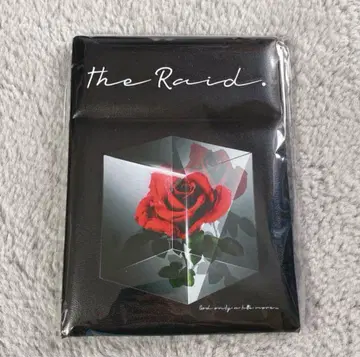 더 레이드. 신이시여 조금만 더 거울
