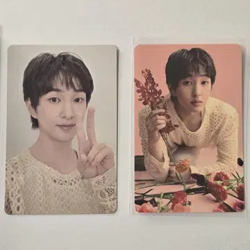 온유 SAKU 트레이딩 카드 세트