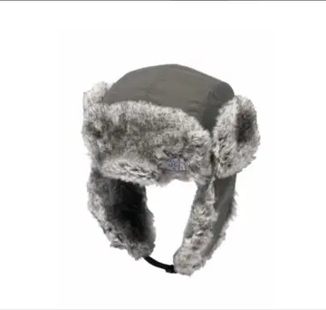 THE NORTH FACE INSULATION BOMBER CAP