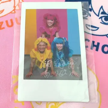 타케시타 파라다이스 폴라로이드