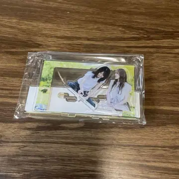 카드 케이스 포함 아크릴 스탠드 아야히로 사이카쨩은 카토 시호 모리 칸나