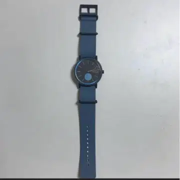 SKAGEN(스카겐) 손목시계 블루