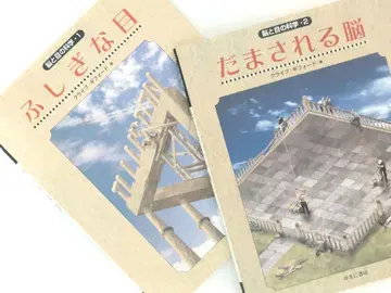 신비한 눈