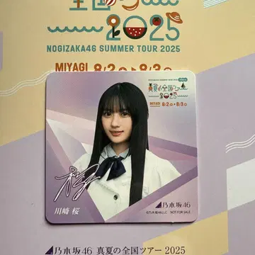 노기자카46 카와사키 사쿠라 코스터