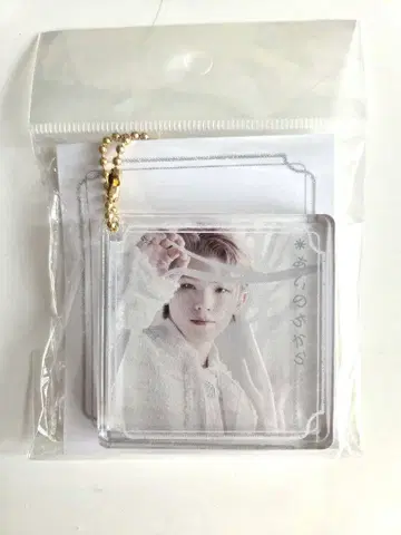 SEVENTEEN 아이노치카라 아크릴 키링 WOOZI