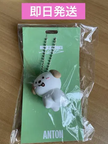 RIIZE 러버 키링 앤톤 riizing loud 투어 굿즈