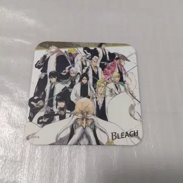 코스터 호정 13대