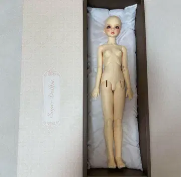 슈퍼돌피 보크스 풀초이스 sd13 여아 sd63 본체 인형