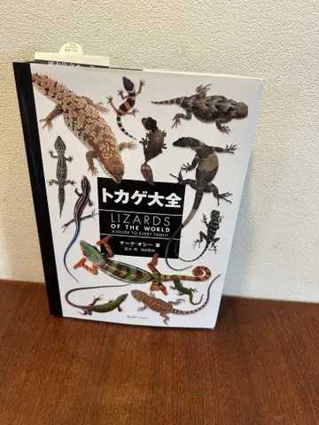 도마뱀 대전 LIZARDS OF THE WORLD