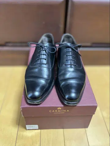 내익 플레인토