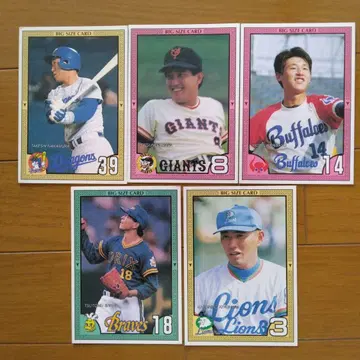 카루비 1990년 프로 야구 카드 빅 사이즈 카드 5장 세트