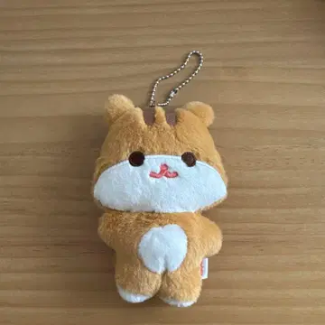 ATEEZ 홍준 ANITEEZ 플랫 퍼 러쉬