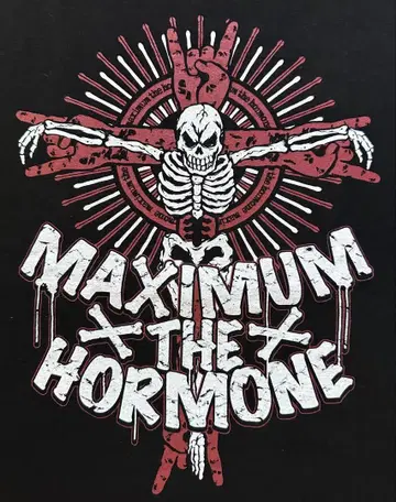 레어 새상품급 MAXIMUM THE HORMONE 블랙 T셔츠