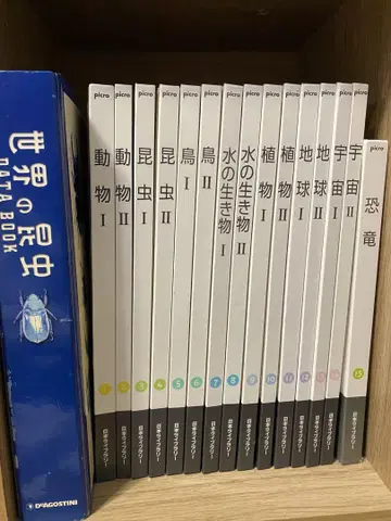 일본 라이브러리 picro 도감 & DVD 세트 + 세계 곤충 데이터북