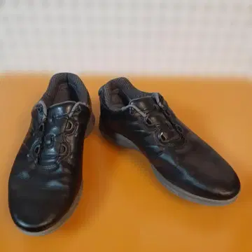 FootJoy BOA 골프화 블랙 25cm