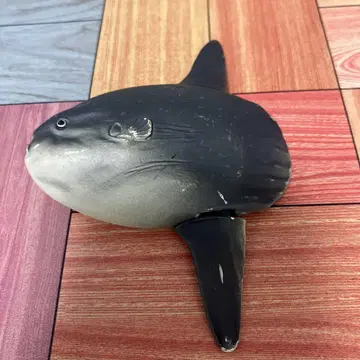 레어템 레어 아니아 개복치