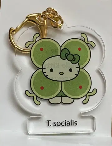 해초 키티 T.socialis 키링 만박 일본관