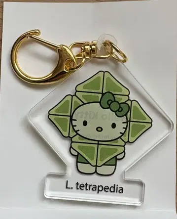 모키티 Hello Kitty L. tetrapedia 키링