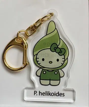 조 키티 P. helikoides 아크릴 키링