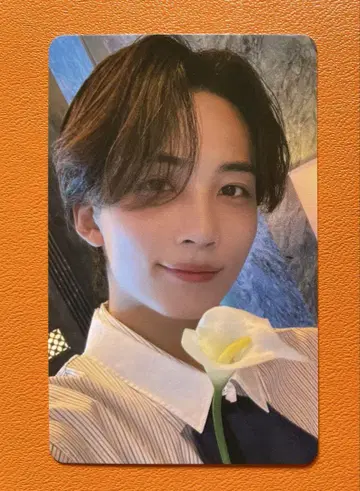 SEVENTEEN DREAM 정한 도쿄 한정판