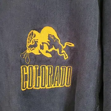 Champion Reverse Weave 블랙 L 90s