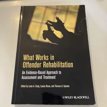 What Works in Offender Rehabilitation