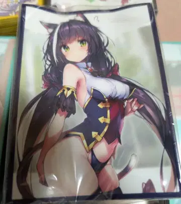 슬리브 67 x 92 60매입 프린세스 커넥트 캬루