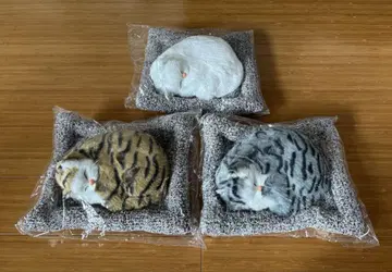 Sleeping Cats 스야스야 오네무리네코짱 3세트