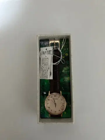 세이코 SEIKO ALBA 여성용 손목시계 ACCK 이웃집 토토로