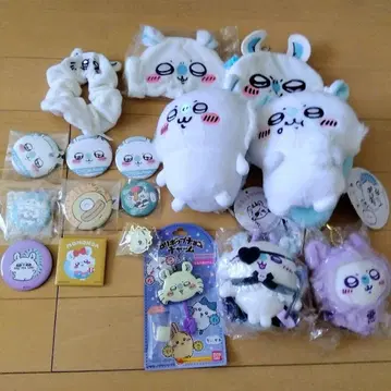치이카와 모몽가 세트 판매