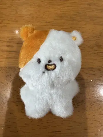 nct dream 지성 포켓몬 인형
