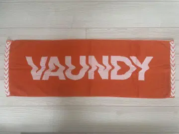 VAUNDY 타월
