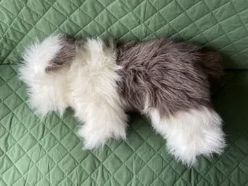 복화술 인형