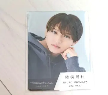 미개봉 새상품 타입  트레이딩 카드