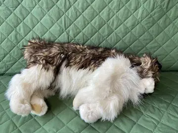 복화술 인형