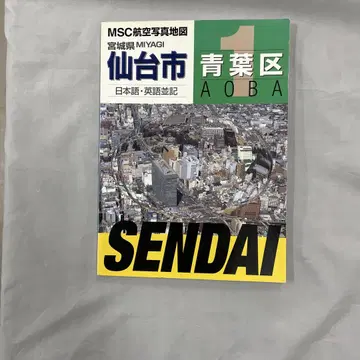 센다이시 항공 사진 지도 아오바구 미야기노구 와카바야시구