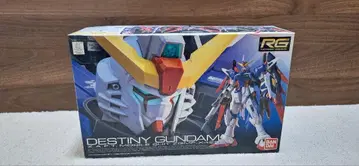 rg 데스티니 건담