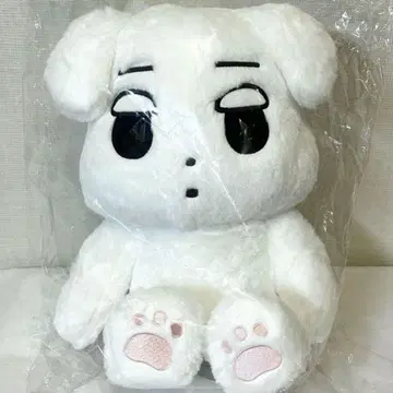 aespa 윈터 40cm 봉제 인형 마스터 직직이