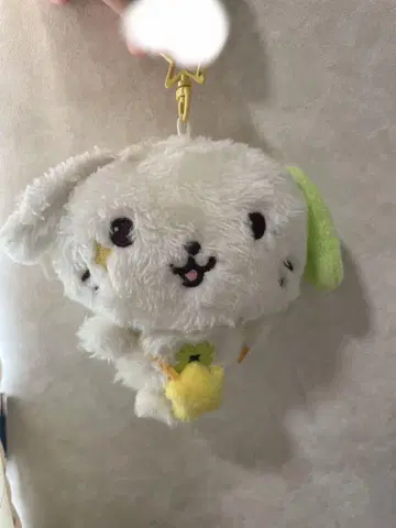 NCT WISH 리오 마스코트