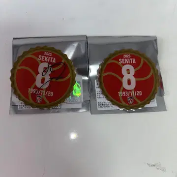 남자 배구 일본 대표 세키타 세이타