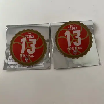 남자 배구 일본 대표 오가와 토모히로