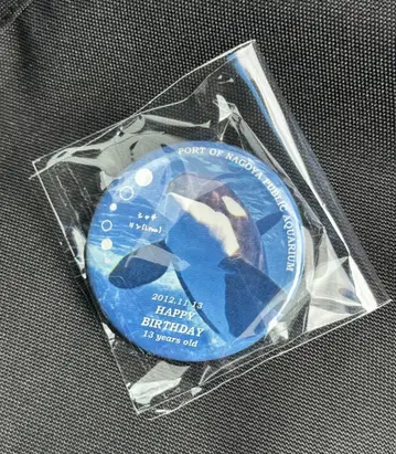 나고야항 수족관 수족관de쿠룻토 기부 범고래 린 해피 벌스데이 2025