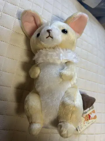 페넥 봉제 인형