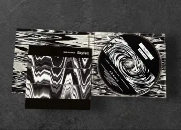 ONE OK ROCK 원오크 Skyfall 회장 한정판 CD